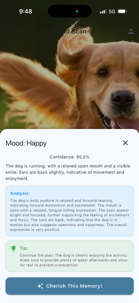 Mood Scan Feature